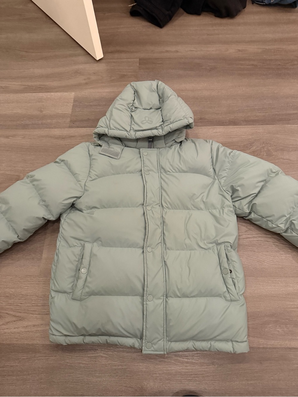 Aritzia Women's Light Sage Hooded Puffer Jacket